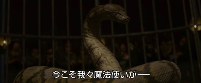 映画「ファンタスティック・ビーストと黒い魔法使いの誕生」予告より 蛇の姿に戻ったナギニ
