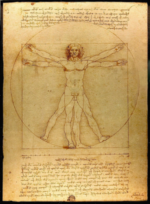ウィトルウィウス的人体図の写真